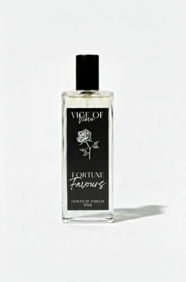 Fortune Favours - Image 2